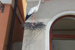 Skulpturenweg Schlüsselfeld