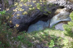Kuhfluchtfälle