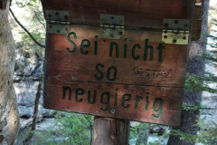 Kuhfluchtfälle