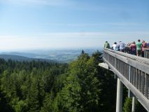 Tagesausflug in den Bayerischen Wald