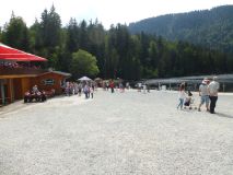 Tagesausflug in den Bayerischen Wald