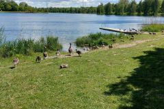 Baggersee Ingolstadt