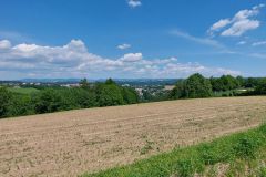 Tagesausflug Bayerischer Wald mit Passau und Arber
