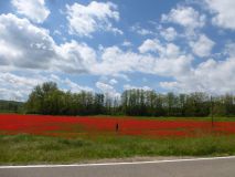 Mit dem Motorrd in der Toskana