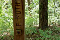 Wanderung rund um den Happurger See