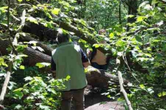 Wanderung rund um den Happurger See