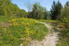 Wanderung rund um den Happurger See