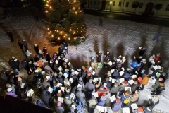 Weihnachtsliedersingen in Eichstätt