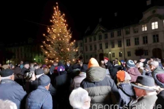 Weihnachtsliedersingen Eichstätt