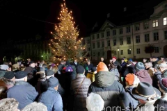 Weihnachtsliedersingen Eichstätt