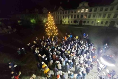 Weihnachtsliedersingen Eichstätt