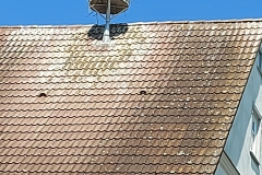 Storchenstadt Öttingen