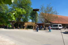 Storchenstadt Öttingen