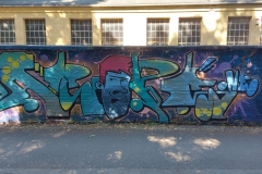 Stein