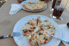 Stein