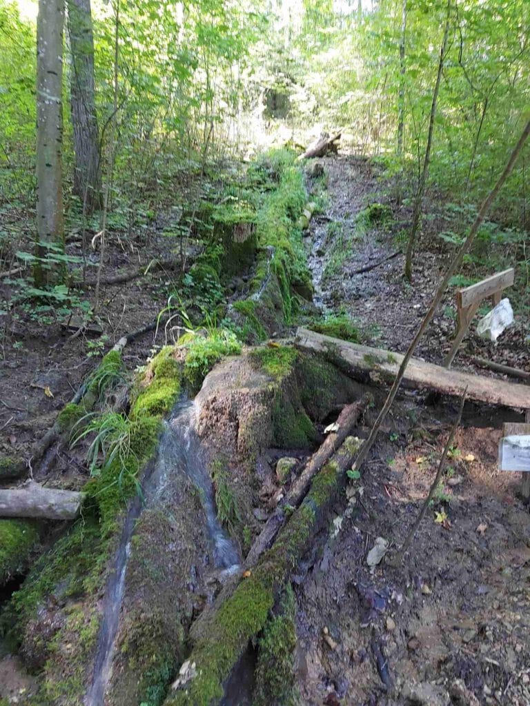 Nuernberger Land 103