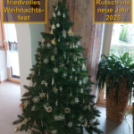 Frohe Weihnachten und ein gutes neues Jahr 2025