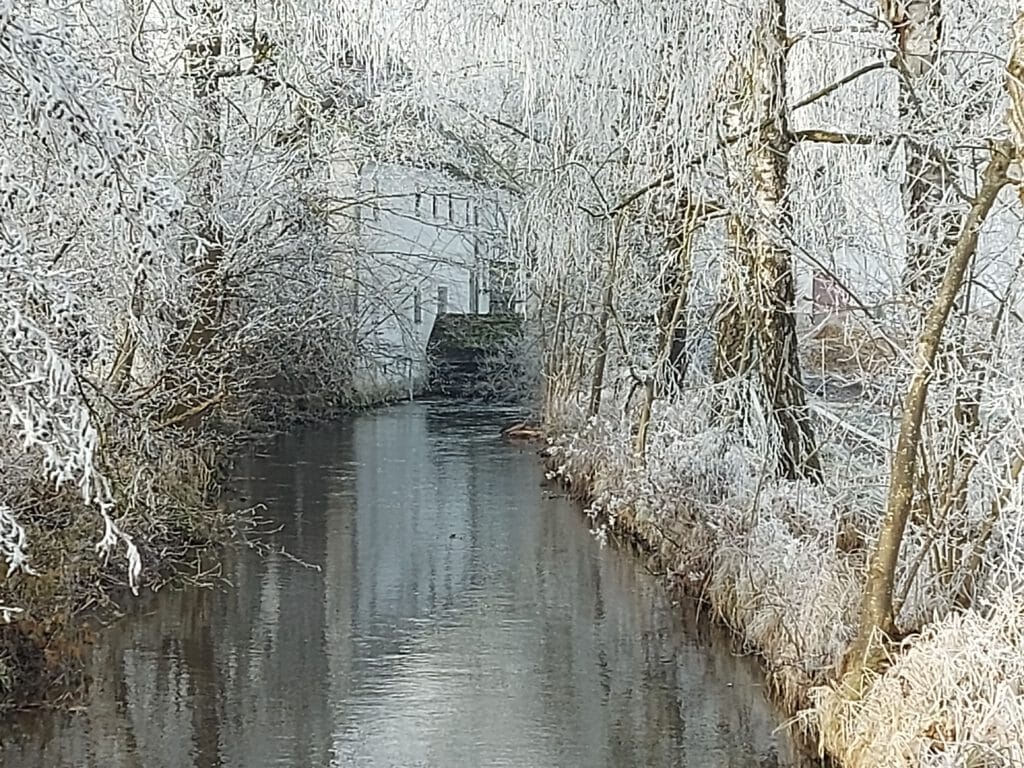 Spaziergaenge 121