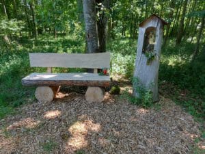 Mit dem Rad durch den Gerolfinger Eichenwald