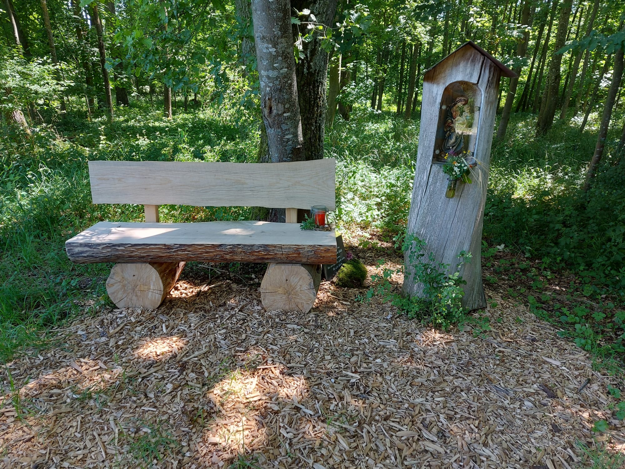 Gerolfinger Eichenwald 105