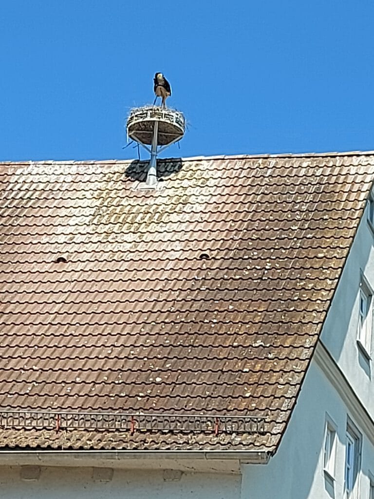 Wemding Oettingen 109
