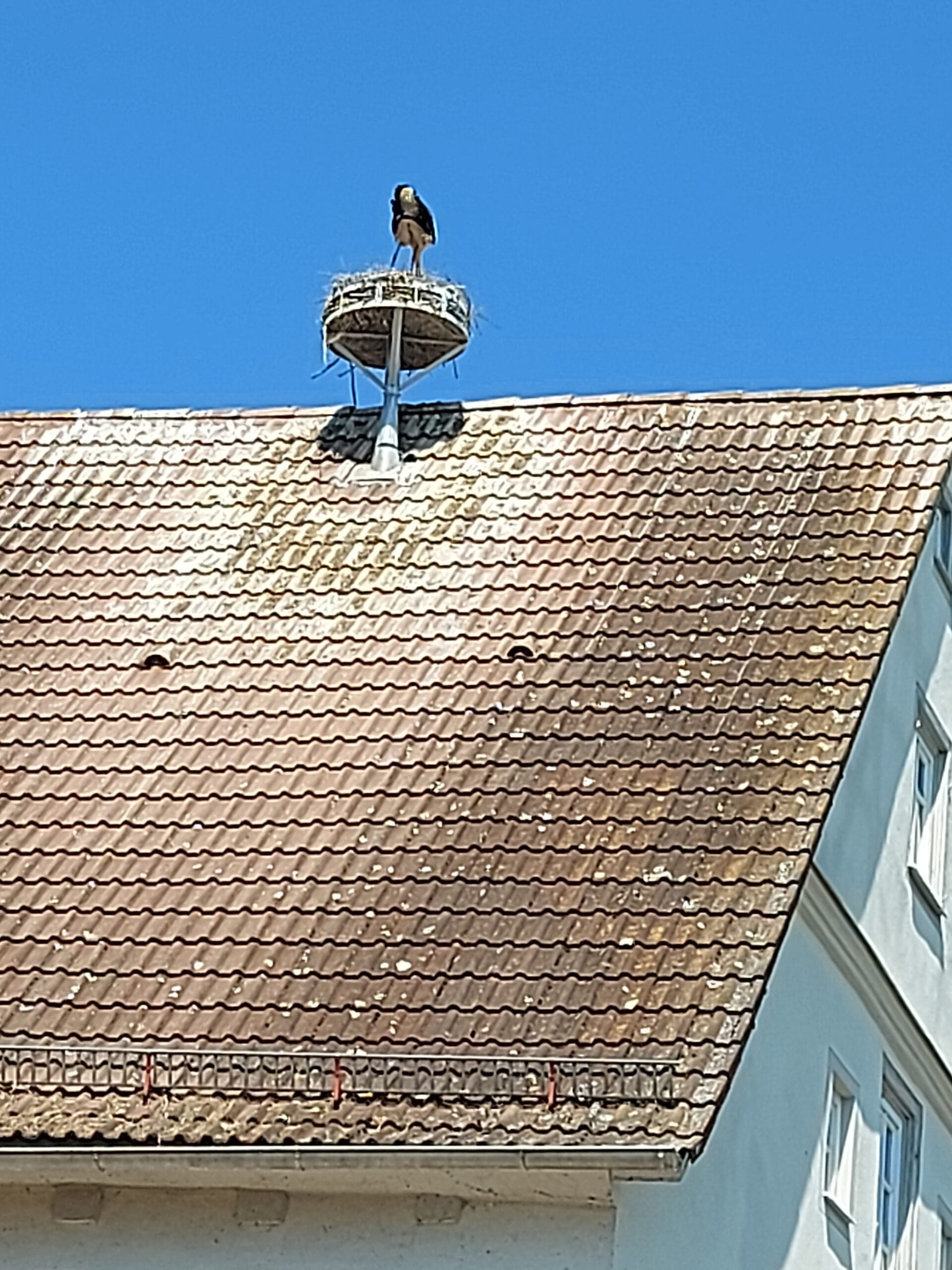 Wemding und Ottingen 1 Wemding Oettingen 109 scaled